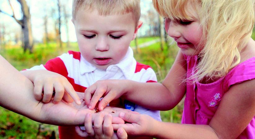 Two children handle a ladybug on an adult's hand.