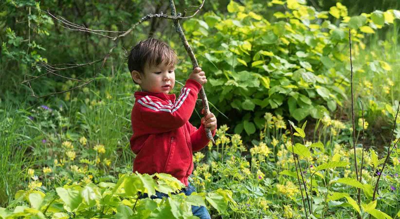 A boy carries a large stick through greenery.