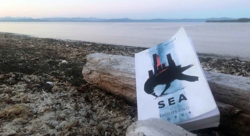 A book is leaning against a log on a beach. Mountains and water are in the background.