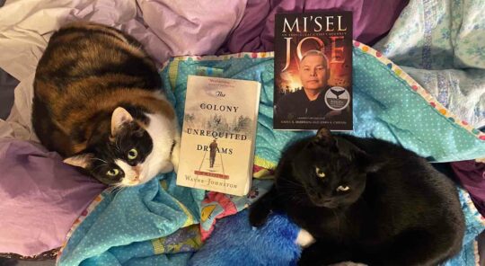 Two cats are lying on blankets with two books in between them.
