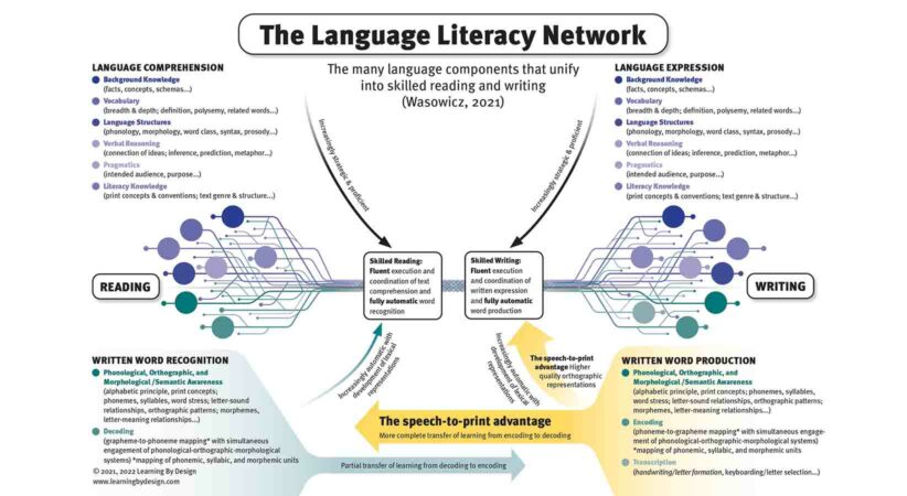 The Language Literacy Network infographic