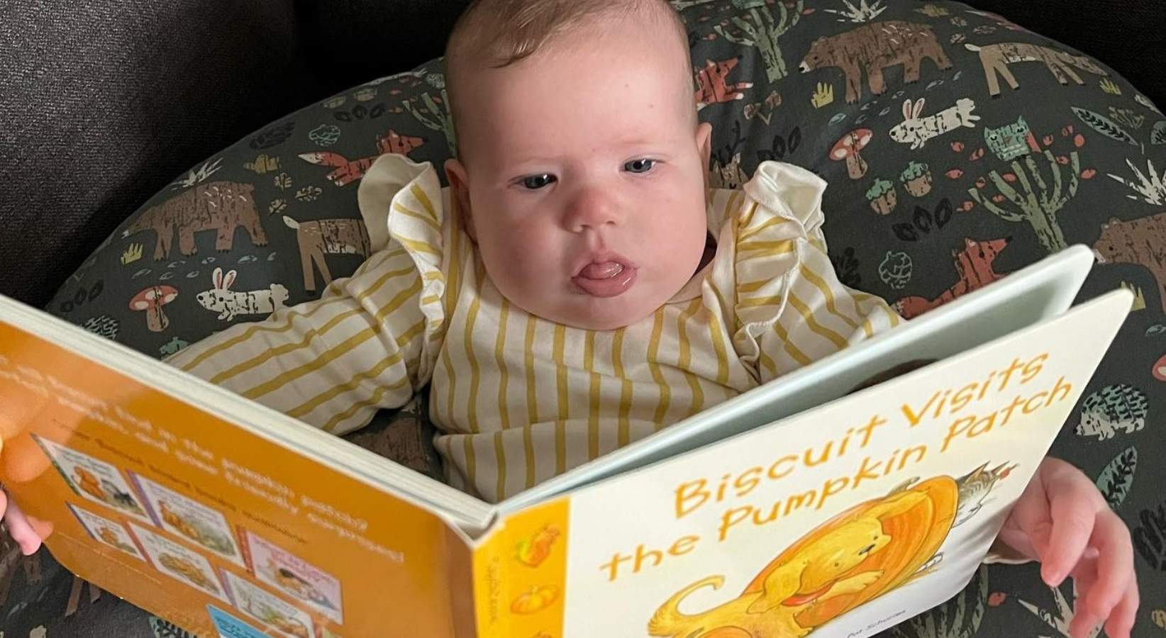 A baby looking at a picture book