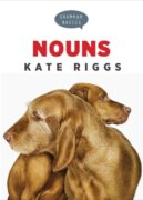 Cover of book "Nouns"