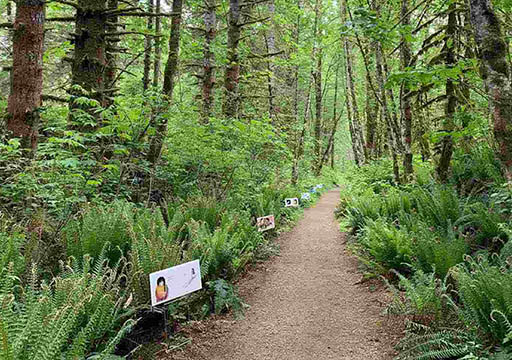 A forest path with signs on the left side