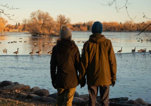 Two people wearing winter clothing and holding hand while looking at a pond with Canada Geese in it at sunset.