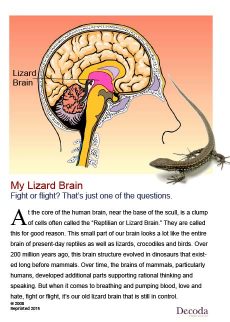 My lizard brain