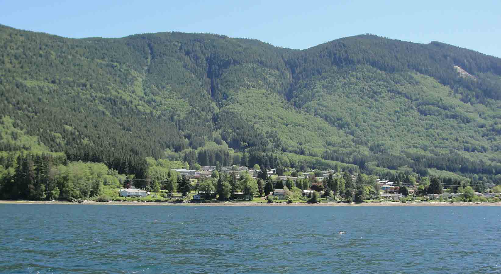 Port Alice from the water